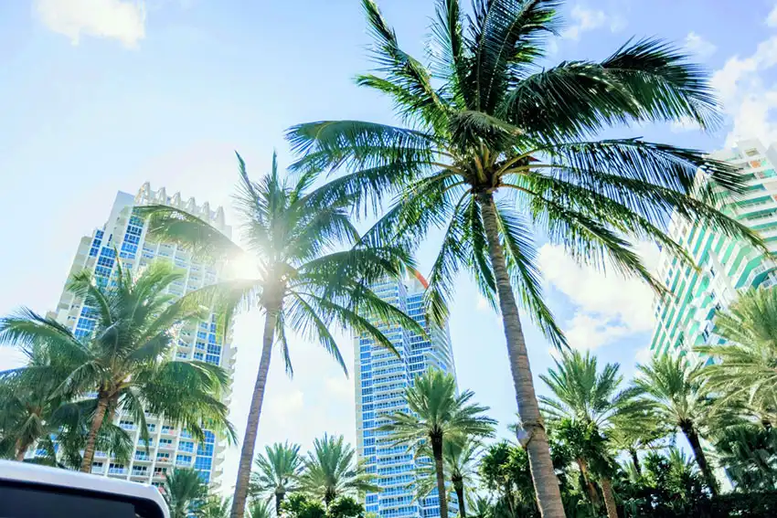 Miami en français avec The French Company